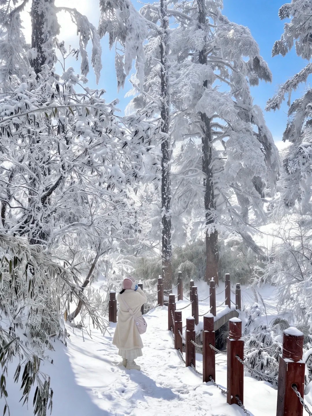 เที่ยวชมภายในภูเขาหิมะวาวู่