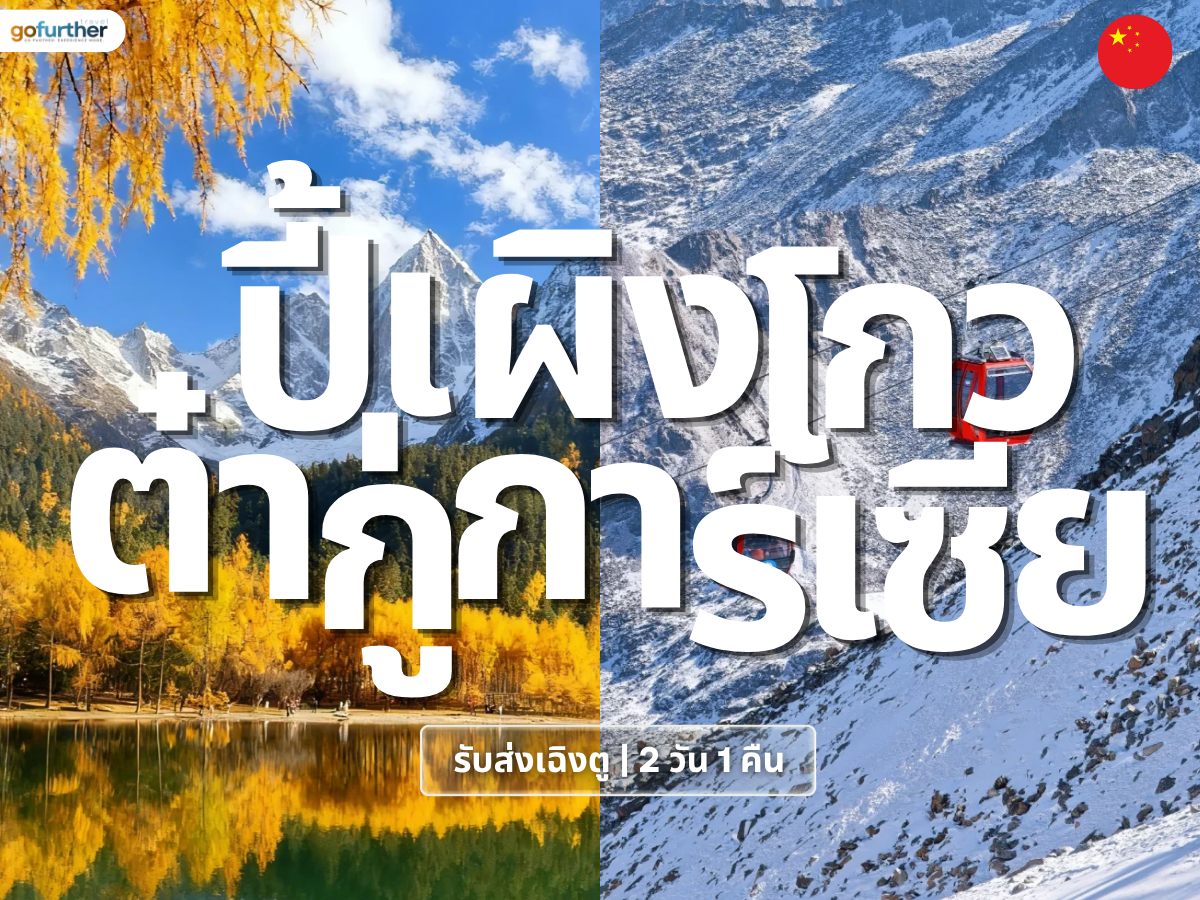 GFCN-SC002 cover
