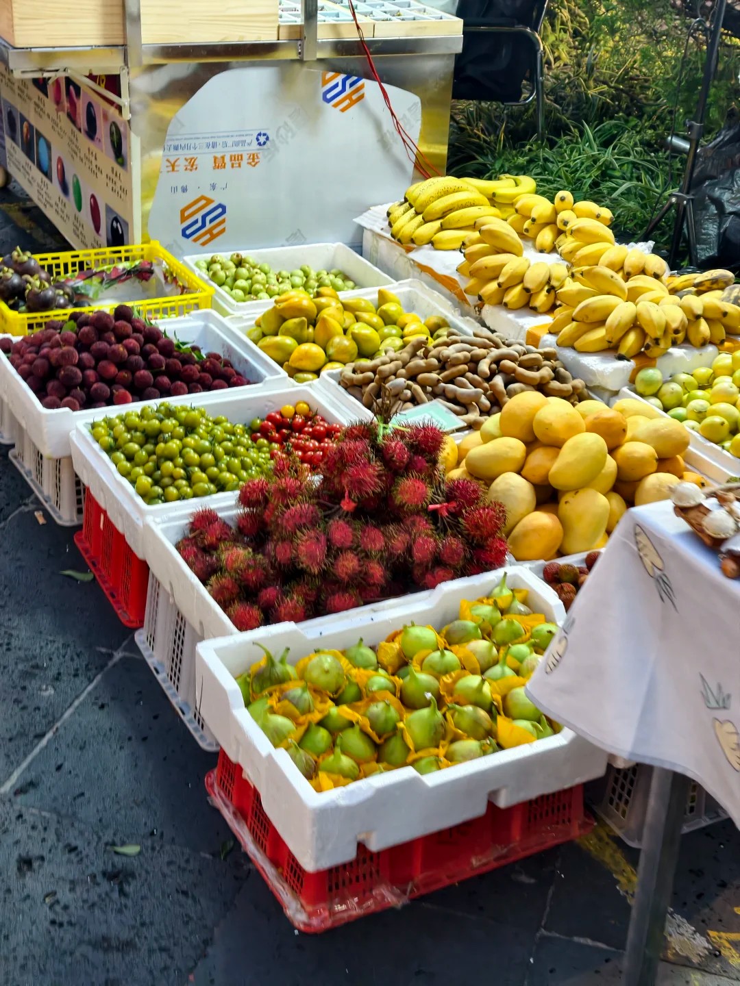 อิสระให้ท่านช้อปปิ้งที่ตลาดกลางคืนเถิงชง