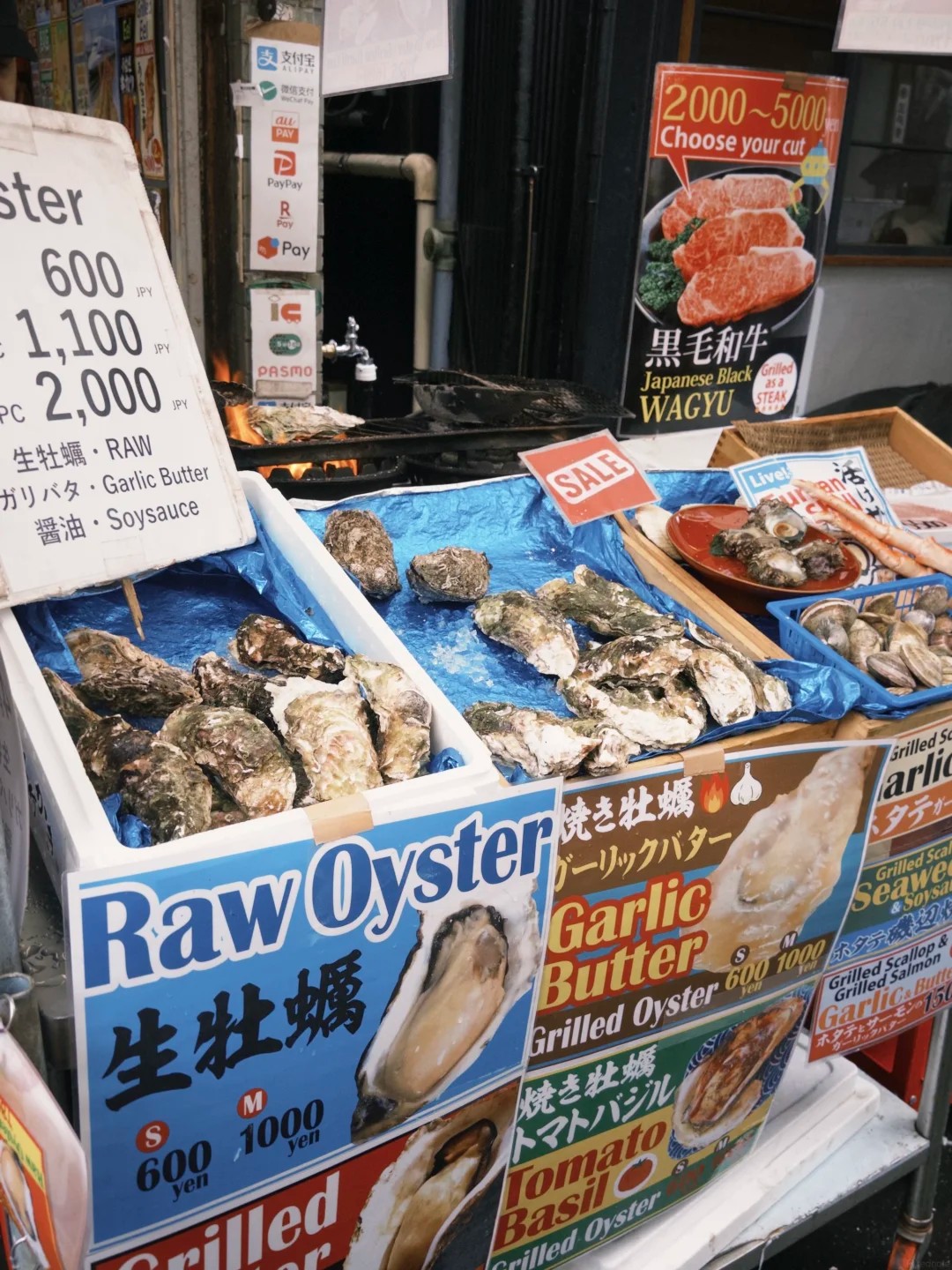 เที่ยวชมตลาดปลาสึกิจิ