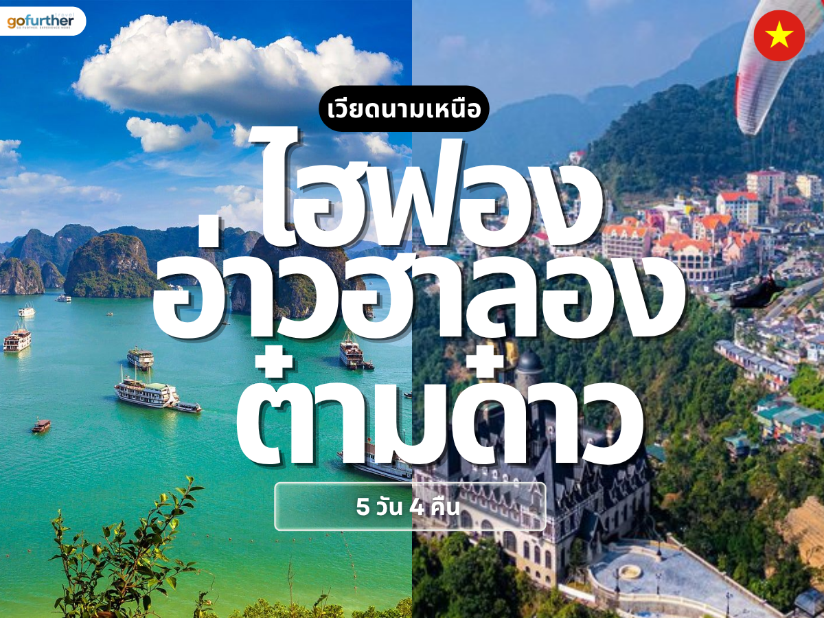 GFVN-NVT001 Cover