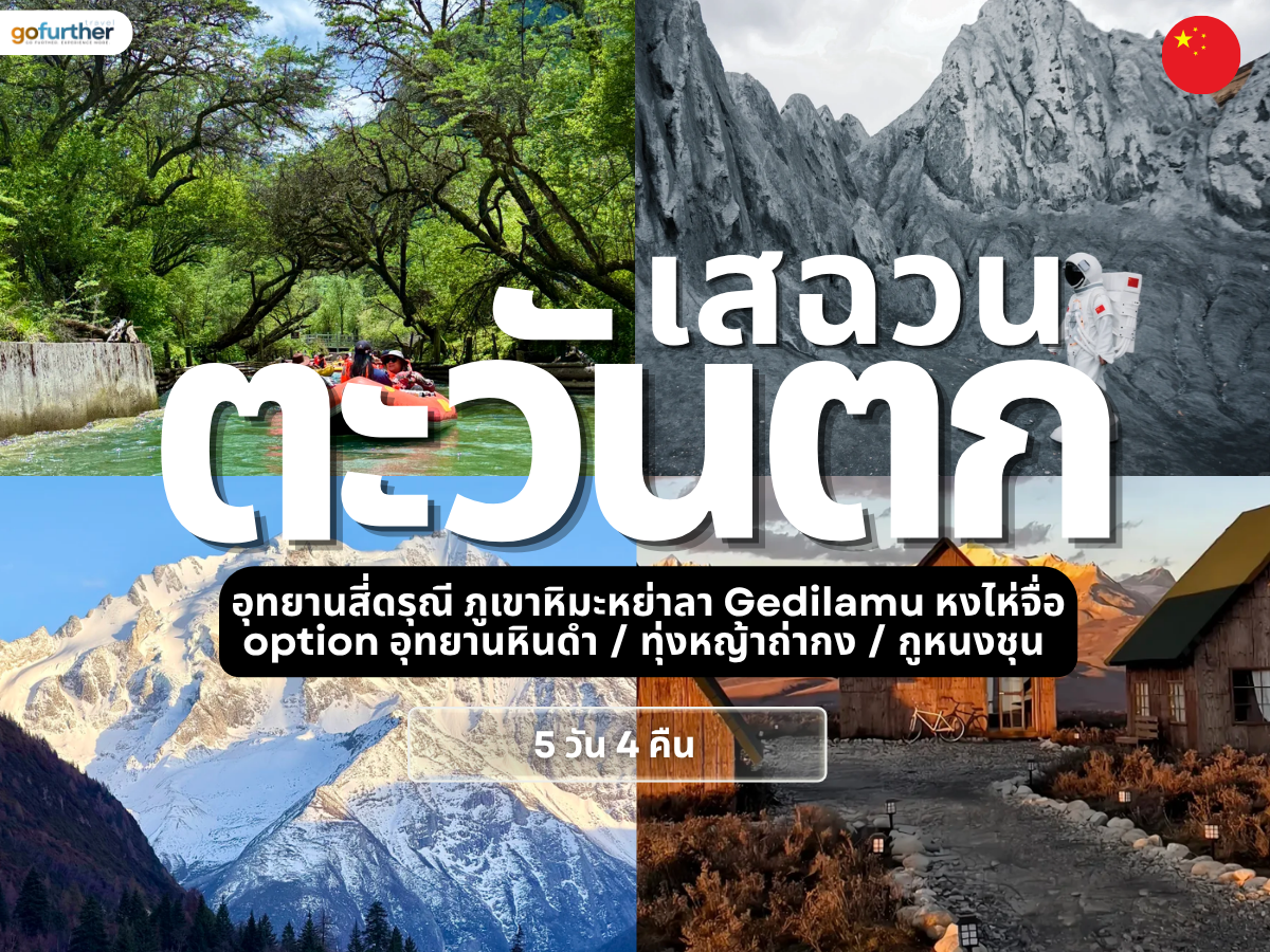 GFCN-SC012 cover