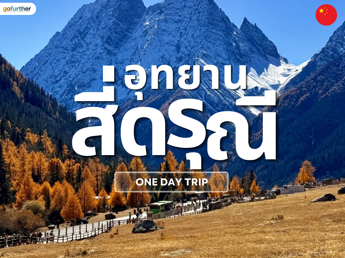 GFCN-SC007 cover