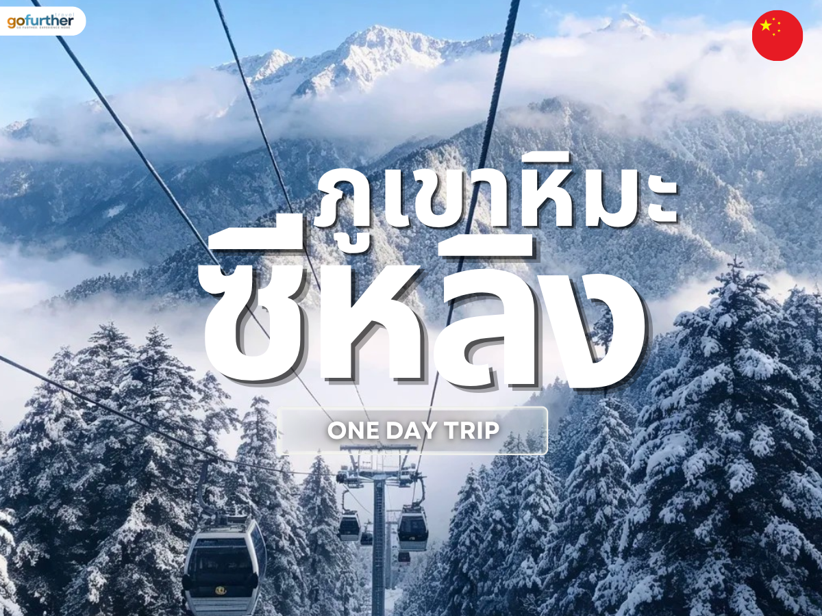 GFCN-SC008 cover