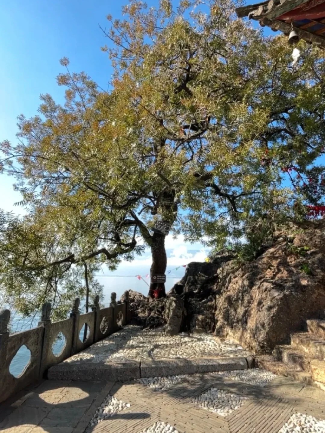 เกาะพูตู่