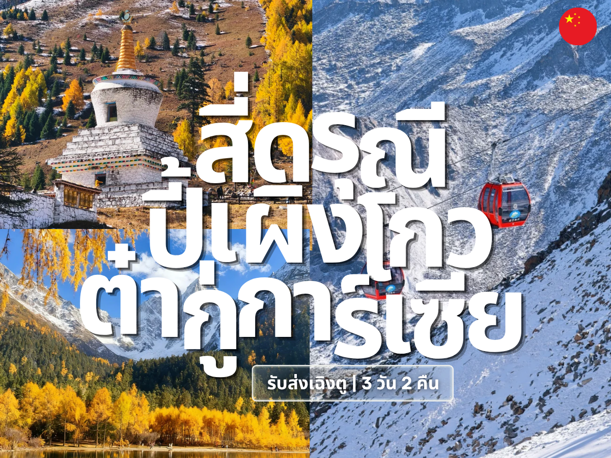 GFCN-SC002 cover