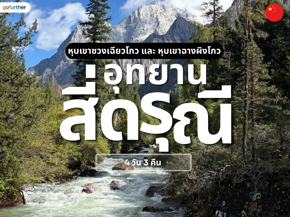 GFCN-SC015 Cover