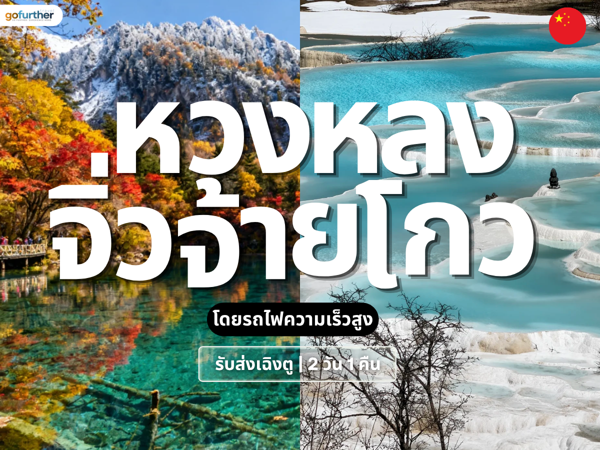 GFCN-SC003 Cover