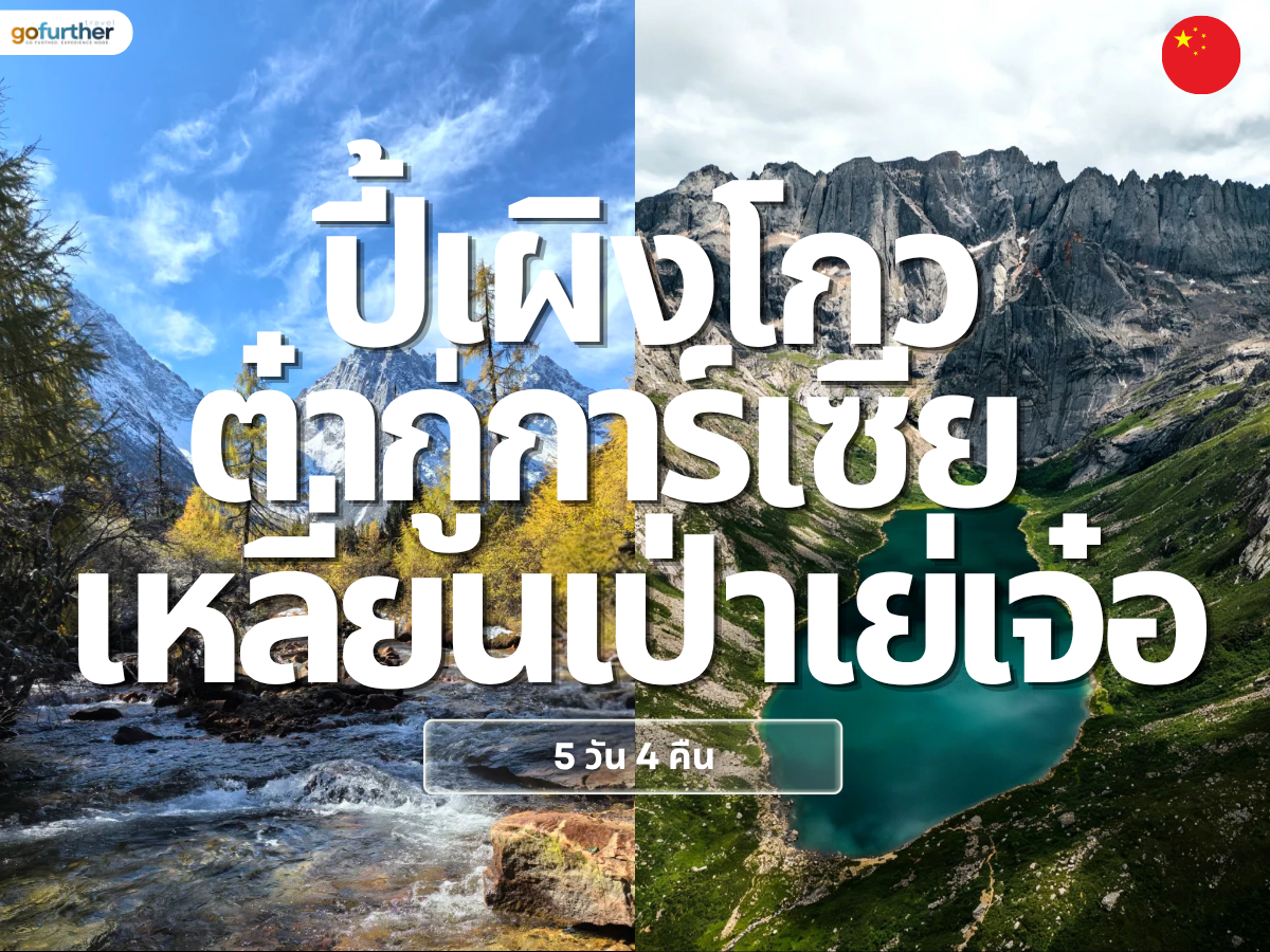 GFCN-SC014 cover