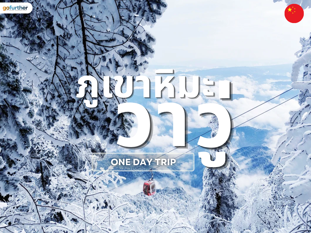 GFCN-SC010 cover