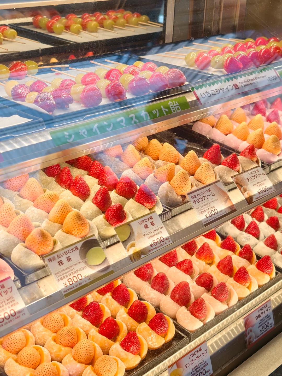 เที่ยวชมตลาดปลาสึกิจิ