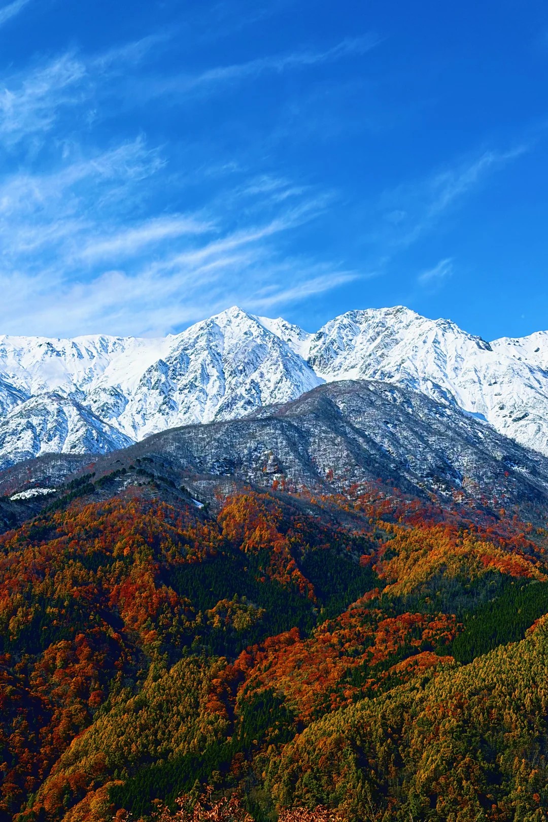 เที่ยวชมภายใน Hakuba Iwatake Mountain Resort