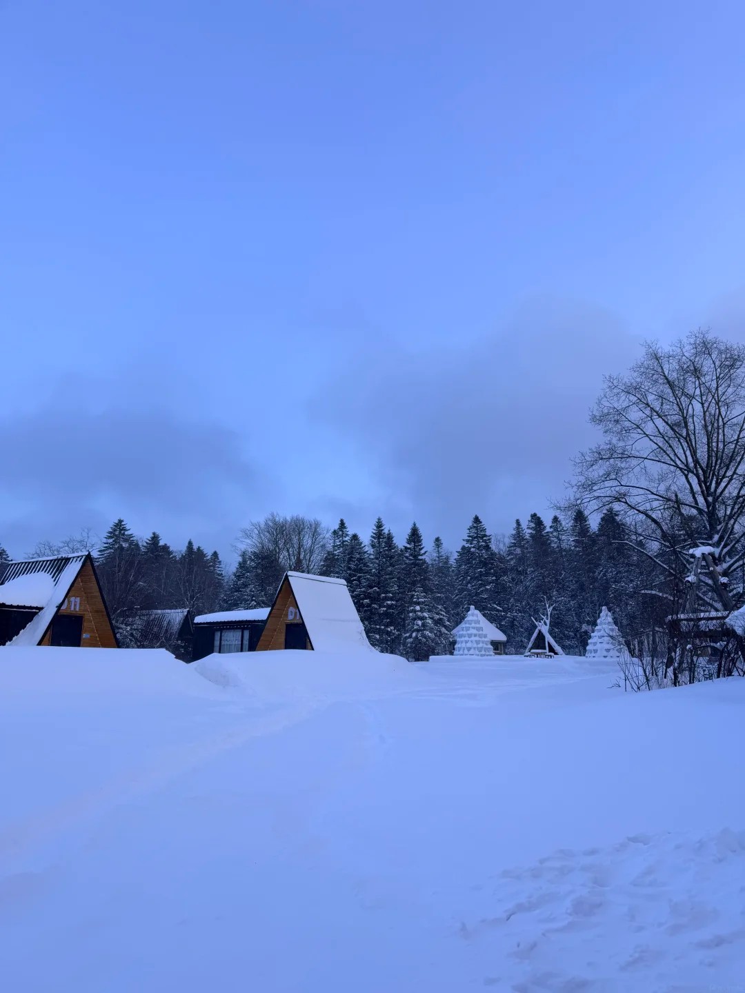 เที่ยวชมทุ่งหิมะเหล่าหลี่เค่อหู